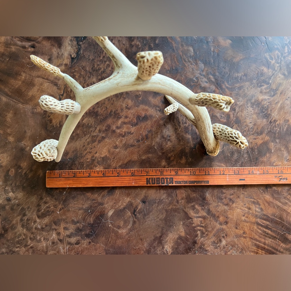 Folk Art Whitetail Shed Antler with hand carved morel mushrooms. - Picture 3 of 11